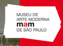 SEMINÁRIO TRANSMUSEU - MAM SP